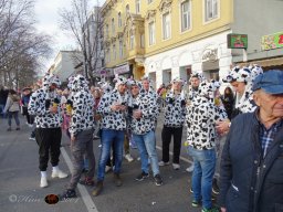 Simmeringer Faschingsumzug 2025